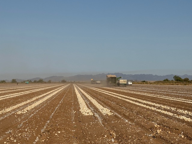 Custom ag harvesting