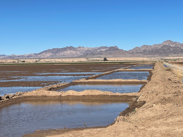 Nish Noroian Farms fields
